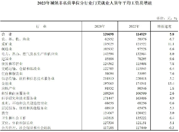 哪个行业工资最高？IT还是金融？官方数据揭晓(图1)