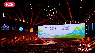 为什么品牌增长，需要小红书IP？