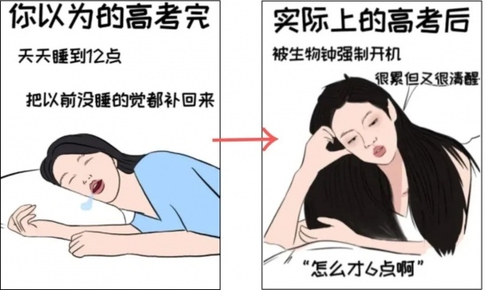 策划一场“完美”的考试作弊，行吗？最高院：很“刑”，都进去了！(图2)