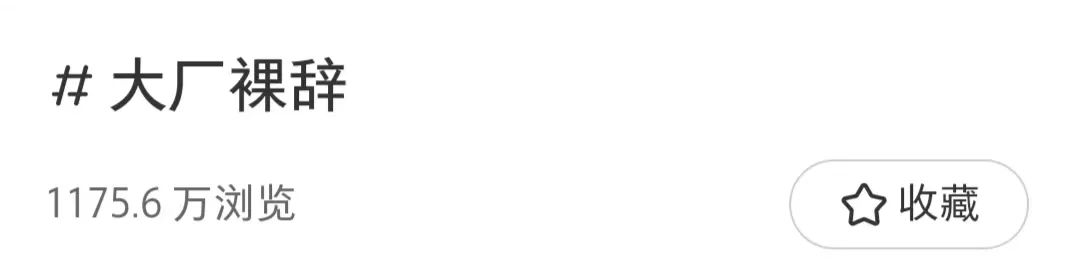 裸辞大厂人,集体奔向小红书做“离职博主”(图1) 裸辞大厂人,集体奔向小红书做“离职博主”