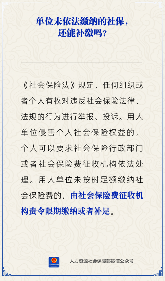 单位未缴纳社保费如何维权要求补缴法律途径详解(图1)