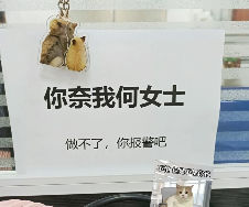 上班发疯 打工轻松，工位文学在小红书上又又又火了