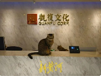 文化公司突发裁员80人引发劳动纠纷，员工质疑程序违法(图2)