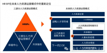 HRBP角色转型：战略人才领导者与人力资源问题解决者的新定位(图2)