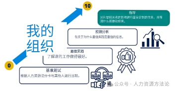人力资源分析四阶段演进：从业绩比较到预测分析的完整指南(图1)