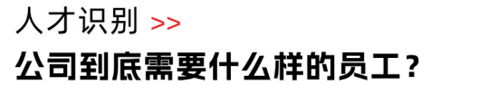31年创业经验,总能冲破至暗时刻,他的人才观有点东西(图3) 31年创业经验,总能冲破至暗时刻,他的人才观有点东西(图3)