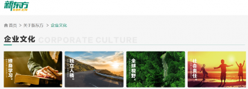 31年创业经验,总能冲破至暗时刻,他的人才观有点东西(图4) 31年创业经验,总能冲破至暗时刻,他的人才观有点东西(图4)