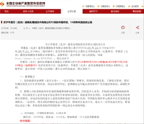国产芯片巨头华夏芯轰然倒下，域名资产遭拍卖，行业震动不已