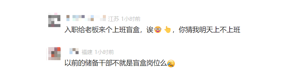 一公司招聘设“岗位盲盒”！网友：是不是还有薪资盲盒？(图5)