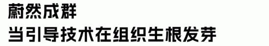 CSA芬兰引导技术“元能力”，打造影响力爆棚的HR精英(图11)