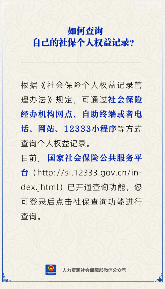 社保个人权益记录查询方式及官方平台介绍(图2)
