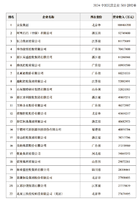 2024中国民营企业500强发布，京东阿里恒力列前三(图2)