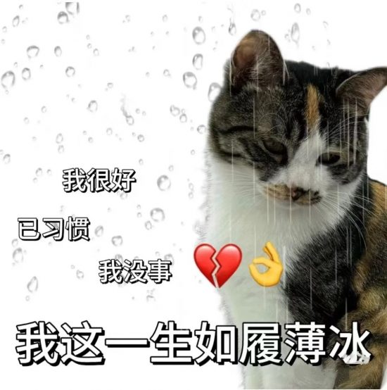 试用期能否转正，谁说了算？辞退有补偿吗？(图3)