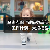 马斯克曝“政府效率部”工作计划:大规模裁员、减少行政管理(图4) 马斯克曝“政府效率部”工作计划:大规模裁员、减少行政管理(图4)