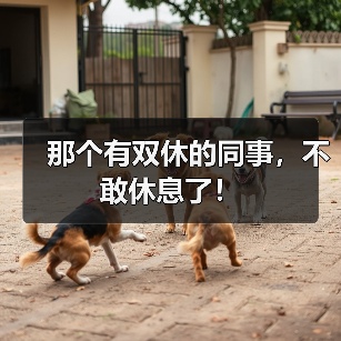 那个有双休的同事,不敢休息了!(图2) 那个有双休的同事,不敢休息了!(图2)