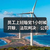 员工上班睡觉1小时被开除,法院判决:公司支付赔偿金35万余元(图4) 员工上班睡觉1小时被开除,法院判决:公司支付赔偿金35万余元(图4)