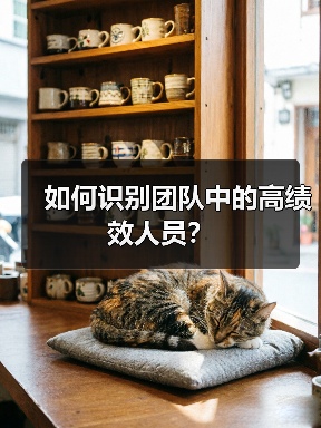 如何识别团队中的高绩效人员?(图1) 如何识别团队中的高绩效人员?(图1)