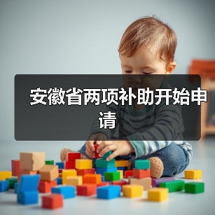 安徽省两项补助开始申请(图2) 安徽省两项补助开始申请(图2)