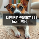 校园招聘严禁限定985和211高校（图1）