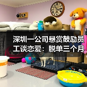 深圳一公司悬赏鼓励员工谈恋爱:脱单三个月后,与对象各获奖1000元(图2) 深圳一公司悬赏鼓励员工谈恋爱:脱单三个月后,与对象各获奖1000元(图2)
