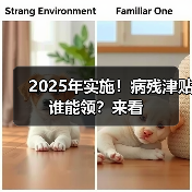 2025年实施!病残津贴谁能领?来看(图3) 2025年实施!病残津贴谁能领?来看(图3)