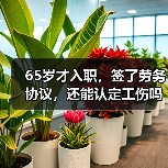 65岁才入职，签了劳务协议，还能认定工伤吗？（二审判决）（图4）