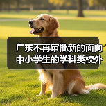 广东不再审批新的面向中小学生的学科类校外培训机构(图2) 广东不再审批新的面向中小学生的学科类校外培训机构(图2)