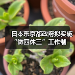 日本东京都政府拟实施“做四休三”工作制(图3) 日本东京都政府拟实施“做四休三”工作制(图3)
