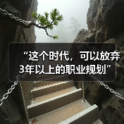 “这个时代,可以放弃3年以上的职业规划”(图1) “这个时代,可以放弃3年以上的职业规划”(图1)