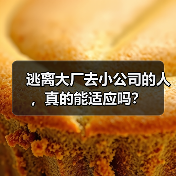 逃离大厂去小公司的人，真的能适应吗？（图3）