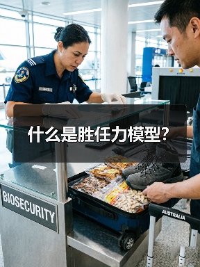 什么是胜任力模型？（图4）