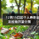 12月15日起个人养老金制度推开至全国（图1）