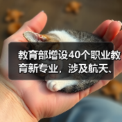 教育部增设40个职业教育新专业,涉及航天、能源等领域(图4) 教育部增设40个职业教育新专业,涉及航天、能源等领域(图4)