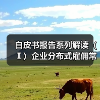 白皮书报告系列解读（Ⅰ）企业分布式雇佣常态化，10.5%的企业正在积极探索出海用工（图4）