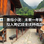 番茄小说：未来一年将投入两亿现金扶持精品内容（图1）