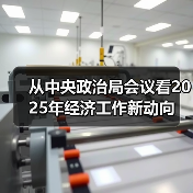从中央政治局会议看2025年经济工作新动向（图4）