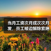 当月工资次月或次次月发，员工被迫解除索赔10万，法院判了!（最新案例）（图1）