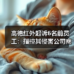 高德红外起诉6名前员工：指控其侵害公司商业秘密，索赔2亿元（图4）