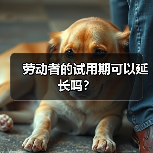 劳动者的试用期可以延长吗？（图4）