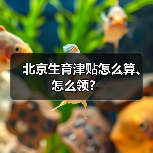 北京生育津贴怎么算、怎么领?(图2) 北京生育津贴怎么算、怎么领?(图2)