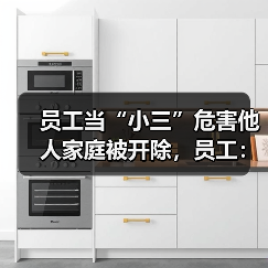员工当“小三”危害他人家庭被开除,员工:我不是公务员,不能要求太高!(图1) 员工当“小三”危害他人家庭被开除,员工:我不是公务员,不能要求太高!(图1)