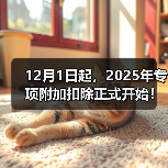 12月1日起,2025年专项附加扣除正式开始!(图3) 12月1日起,2025年专项附加扣除正式开始!(图3)