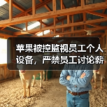 苹果被控监视员工个人设备,严禁员工讨论薪酬(图2) 苹果被控监视员工个人设备,严禁员工讨论薪酬(图2)