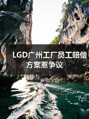 LGD广州工厂员工赔偿方案惹争议(图4) LGD广州工厂员工赔偿方案惹争议(图4)