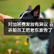 对加班费发放有异议 喜茶前员工把老东家告了(图1) 对加班费发放有异议 喜茶前员工把老东家告了(图1)