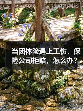 当团体险遇上工伤,保险公司拒赔,怎么办?(图2) 当团体险遇上工伤,保险公司拒赔,怎么办?(图2)