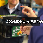 2024年十大流行语公布(图3) 2024年十大流行语公布(图3)