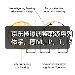 京东被曝调整职级序列体系,原M、P、T、S合并为新的专业主序列P(图4) 京东被曝调整职级序列体系,原M、P、T、S合并为新的专业主序列P(图4)