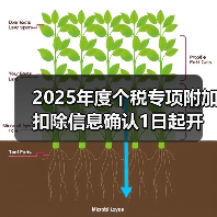 2025年度个税专项附加扣除信息确认1日起开始(图1) 2025年度个税专项附加扣除信息确认1日起开始(图1)