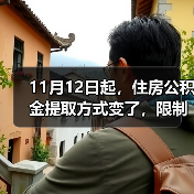 11月12日起,住房公积金提取方式变了,限制全面放开!(图4) 11月12日起,住房公积金提取方式变了,限制全面放开!(图4)